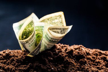 dolar yerden büyümek