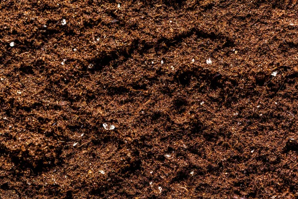 Gardening Soil texture — Stock Photo, Image