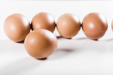 taze yumurta beyaz döşeme