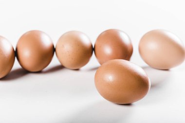 taze yumurta beyaz döşeme