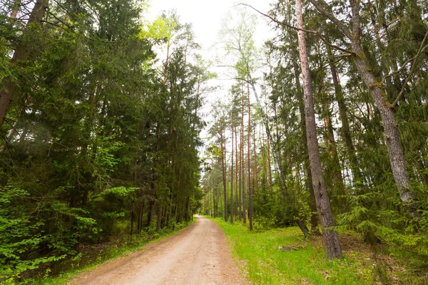 park harika güneşli bir günde