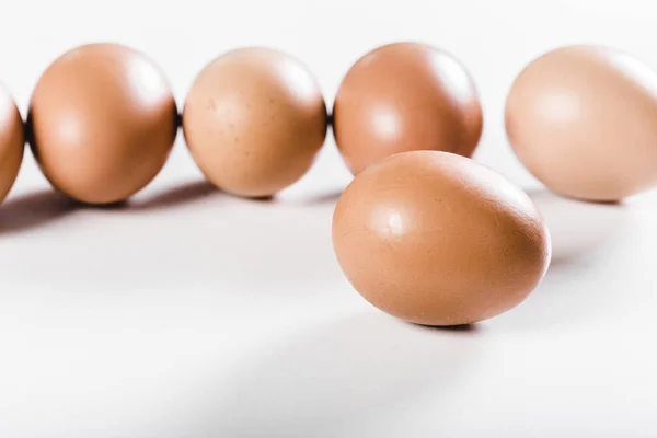新鮮な卵の白の上に敷設 — ストック写真