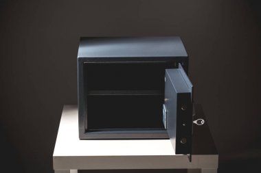 küçük gri güvenli