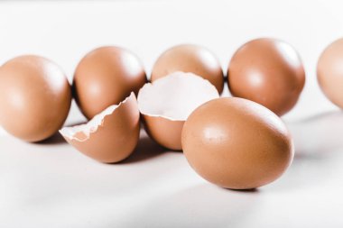 taze yumurta beyaz döşeme