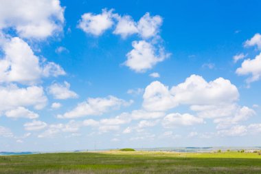 Mavi gökyüzünün altında yeşil alan