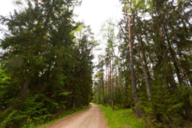  Yeşil ağaçlı park