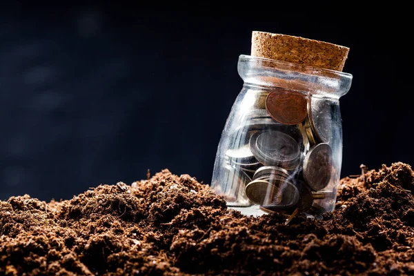 Plant Growing In Savings Coins — Stock Photo, Image