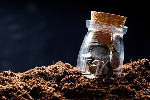 Planta creciendo en monedas de ahorro — Foto de Stock