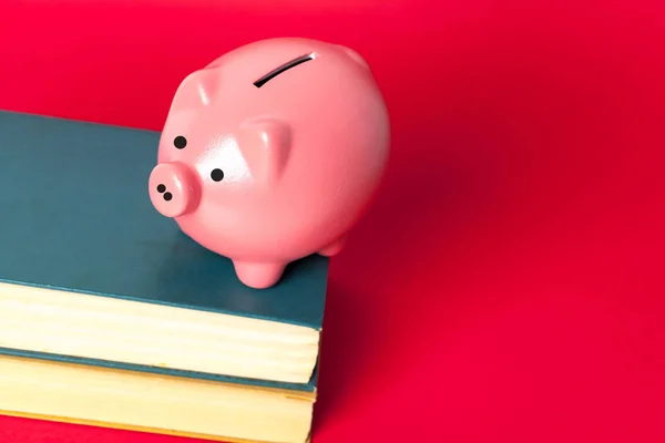Sparschwein auf Bücherstapel — Stockfoto