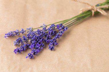 Taze lavanta çiçekleri