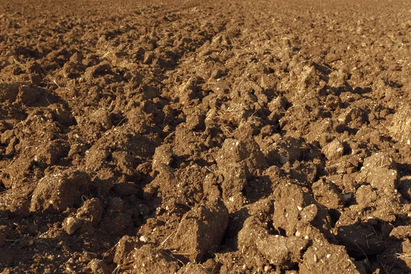 Soil Texture Background Close — Stock Photo, Image