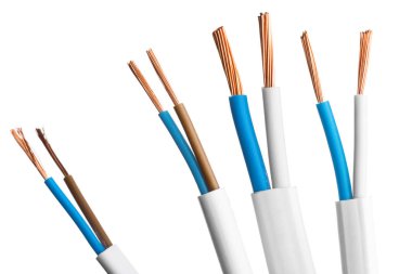 Beyaz arka plan üzerinde izole birçok telleri ile elektrik ekranlı kablo