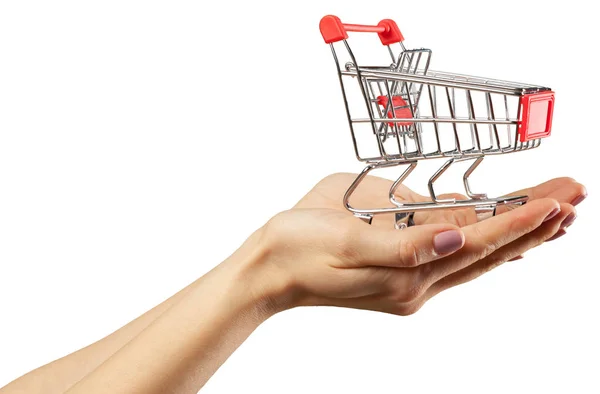 Shopping Cart Hands White Background — Stock Photo, Image