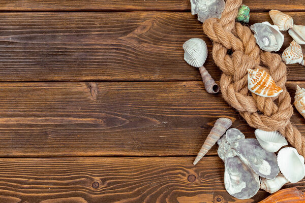 Seashells border on wood. Marine background.