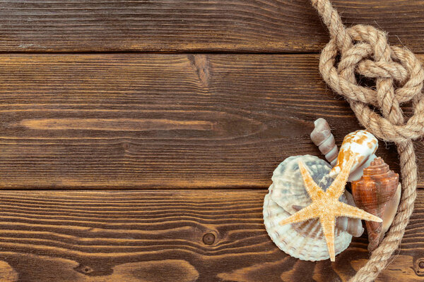 Seashells border on wood. Marine background.