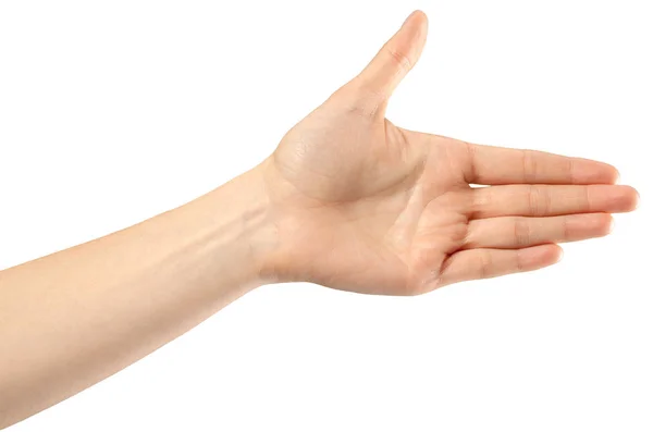 白い背景の女性の手のしぐさ — ストック写真