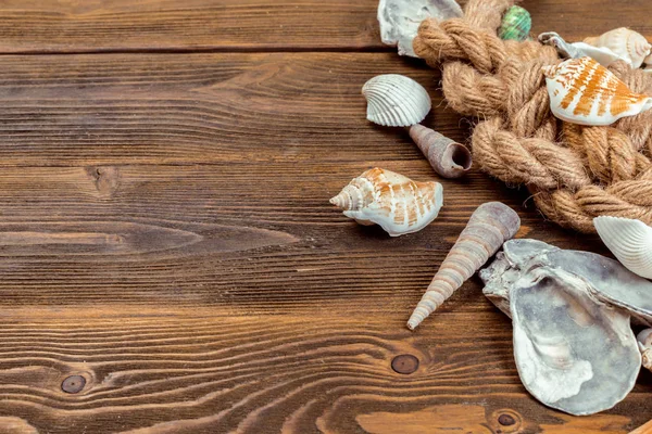 Seashells border on wood. Marine background.