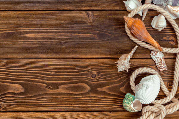 Seashells border on wood. Marine background.
