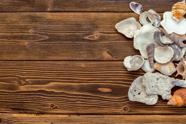 Accesorios Playa Sobre Tabla Madera — Foto de Stock