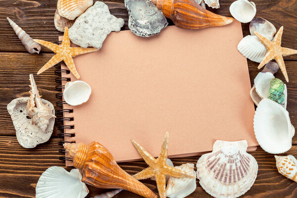 Shells and notepad on wooden table. Top view with copy space.