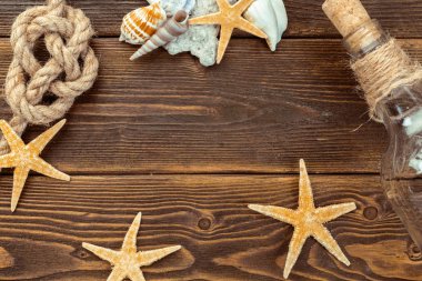 Deniz kabuklarını tahtaya kenarlık. Deniz arka plan.
