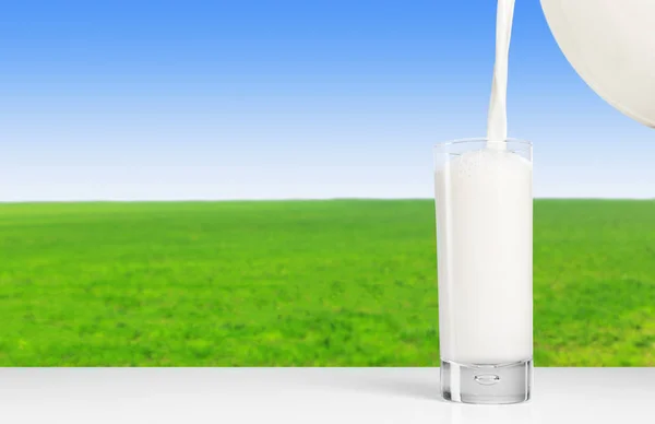 Sommerwiese Bei Schönem Tag Mit Milch Glas — Stockfoto