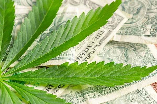 Cannabisblatt Und Geld — Stockfoto