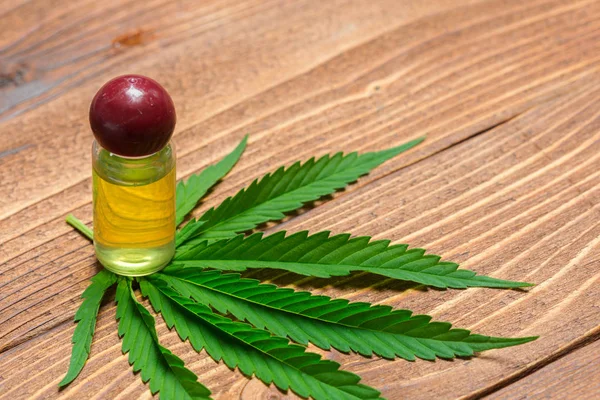 Blader Cannabis Olje Trebakgrunn – stockfoto
