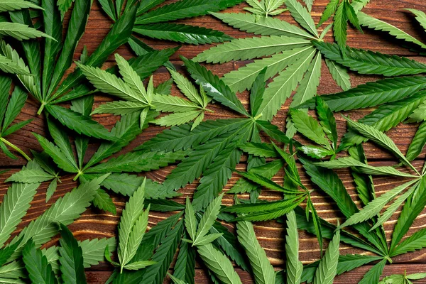 Cannabis Blatt Auf Holztisch — Stockfoto