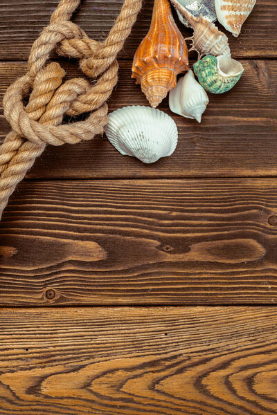 Seashells border on wood. Marine background.