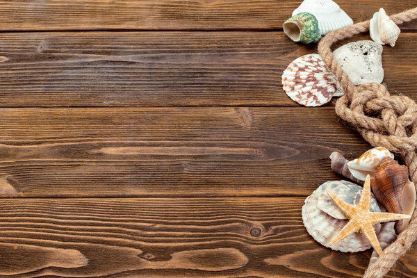 Seashells border on wood. Marine background.