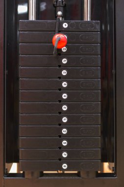 Modern spor salonunda aletleri