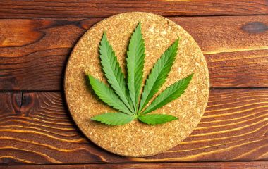 Fresh green Cannabis Leaf clipart
