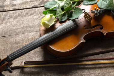 Gül desenli ahşap arka plan üzerinde güzel keman 