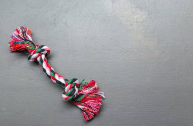 Köpekler yakın çekim için ip çekerek