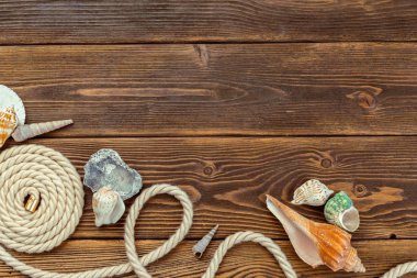 Deniz kabuklarını tahtaya kenarlık. Deniz arka plan.