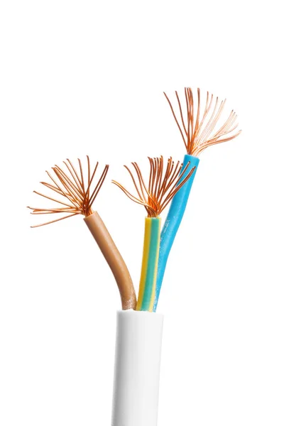 Elektrische Afgeschermde Kabel Met Veel Draden Geïsoleerd Witte Achtergrond — Stockfoto
