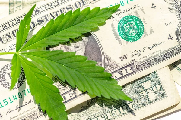 Folha Cannabis Dinheiro — Fotografia de Stock