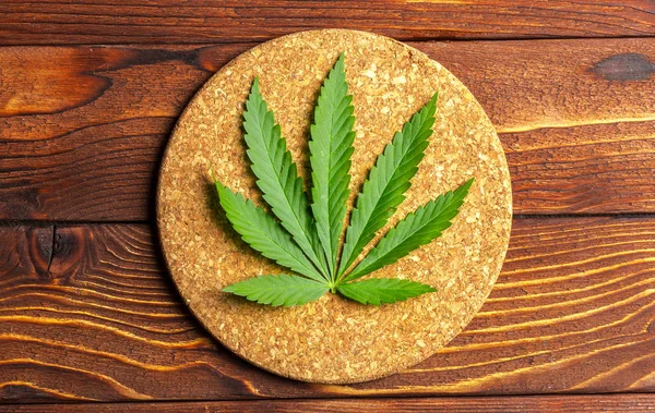 Frisches Grünes Cannabisblatt — Stockfoto