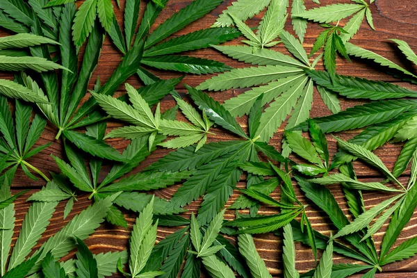 Cannabis Blatt Auf Holztisch — Stockfoto