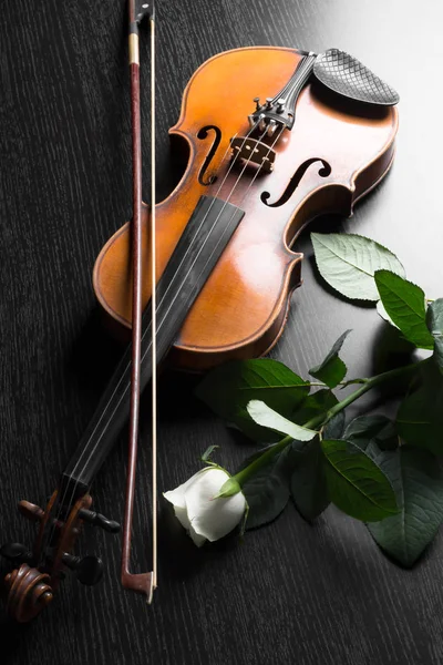Violino Rosa Sfondo Nero — Foto Stock