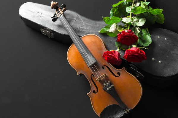 Скрипка Роза Черном Фоне — стоковое фото