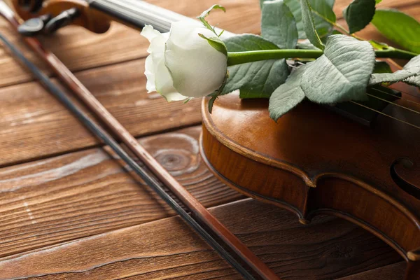 Beautiful Violin Rose Wooden Background — Stock Photo, Image