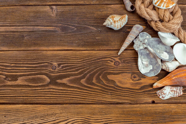 Seashells border on wood. Marine background.