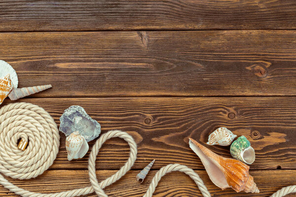 Seashells border on wood. Marine background.