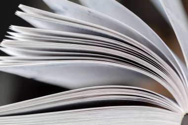 Bulanık arka plan ile açık kitap sayfa kapatın