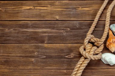 Deniz kabuklarını tahtaya kenarlık. Deniz arka plan.