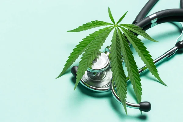 Nahaufnahme Von Medizinischem Marihuana Auf Blauem Hintergrund — Stockfoto