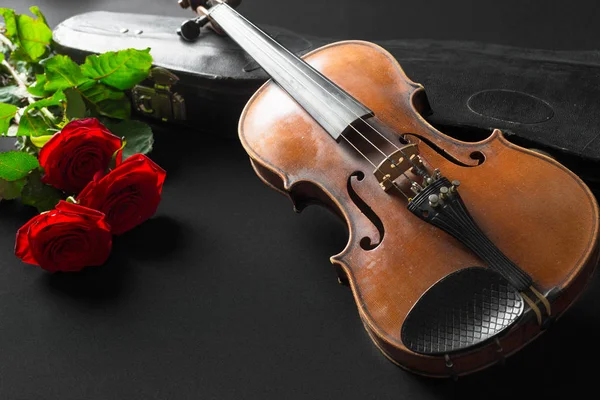 Violino Rosa Sfondo Nero — Foto Stock