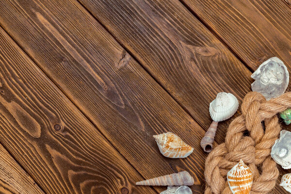 Seashells border on wood. Marine background.